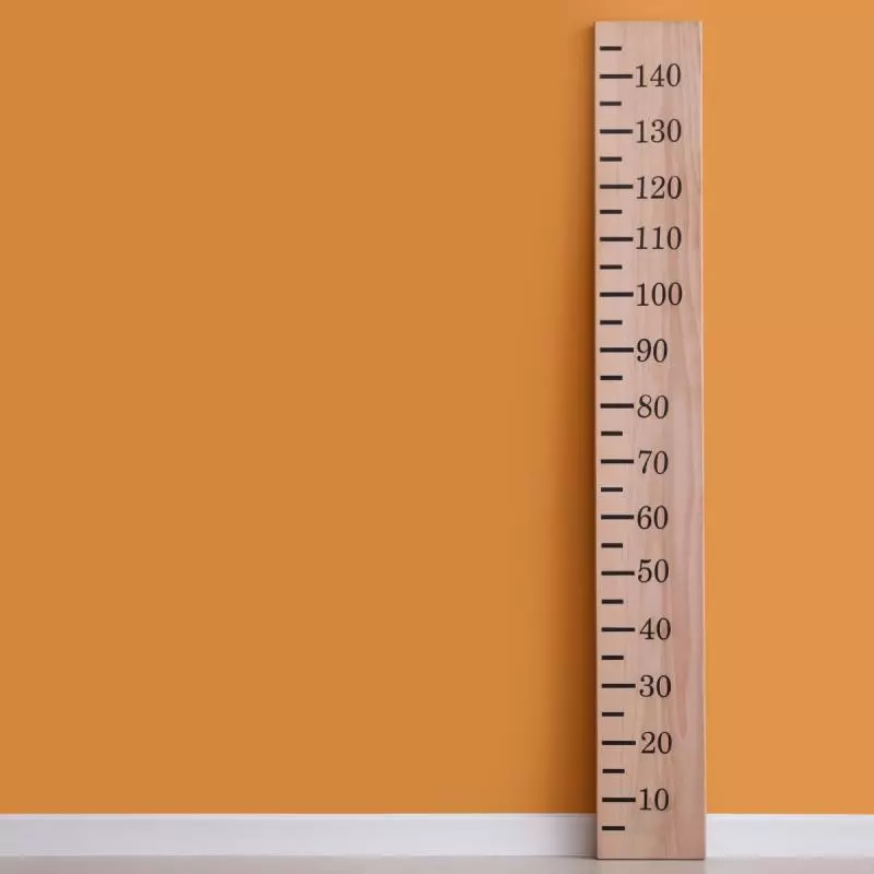 4. Pertimbangkan Ukuran dan Proporsi